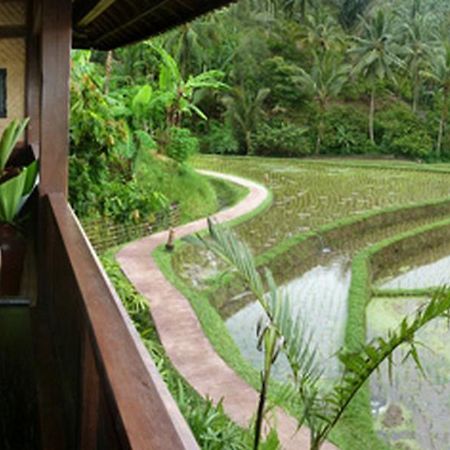 Bali Eco Stay BALI Exterior photo